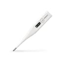 Beurer FT-09 Digital Oral Thermometer