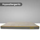 SleepyCat High Density Foam Baby Mattress view 4