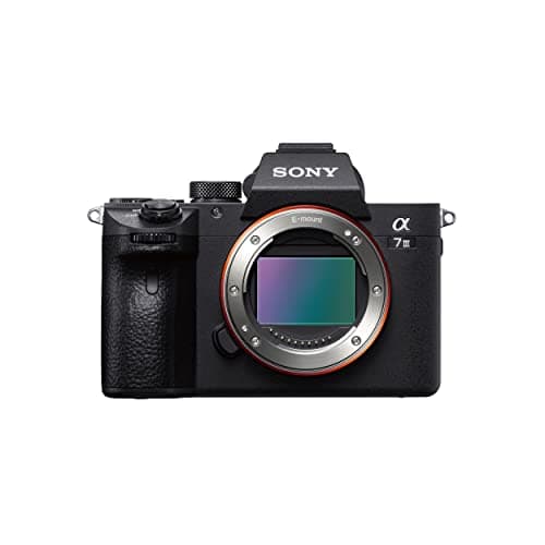 Sony Alpha A7 III (Body)