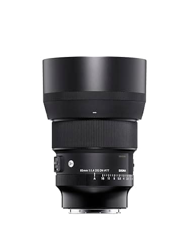 Sigma 85mm f/1.4 DG DN Art (Sony E)