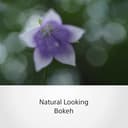 Sony FE 50mm F2.8 Macro (Budget Entry) view 6