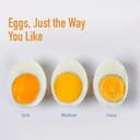 KENT Instant Egg Boiler view 6