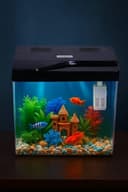Rizopets Kids Fish Tank Starter Kit 8L