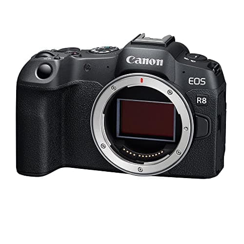Canon EOS R8 (Body)