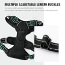 Lyrovo Adjustable No-Pull Harness with Leash Set view 6