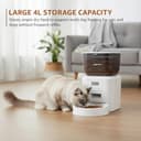 Amazon Basics 4L Automatic Pet Feeder view 2