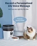Qpets 3L Automatic Feeder with Voice view 3