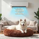 Wow Dog Calming Donut Bed (X-Large) view 5