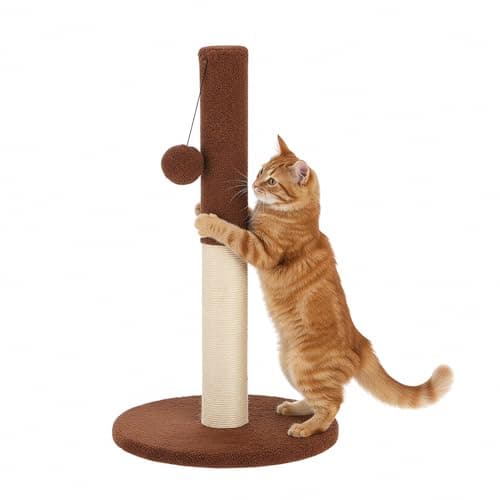 Amazon Basics Cat Scratching Post 50cm