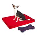 Amazon Basics Orthopedic Bed with Cushion