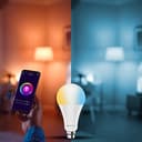 Amazon Basics 9W Smart LED Bulb view 6