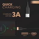 Duracell USB-C 65W Braided Cable view 2