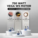 Preethi Blue Leaf Diamond MG-214 view 2