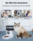 Qpets 3L Automatic Feeder with Voice view 4