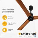 Atomberg Renesa Elite Smart BLDC Ceiling Fan view 2