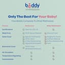 Centuary Beddy Nest (Premium Natural Latex) view 8