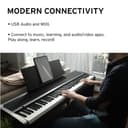 Korg B2SP Digital Piano (88 Natural Weighted Hammer Keys, Stand + 3-Pedal) view 4
