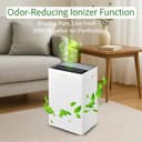 HINISO 22L Smart WiFi with UV & Ionizer view 3