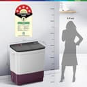 Bosch WJP802 8 kg view 2