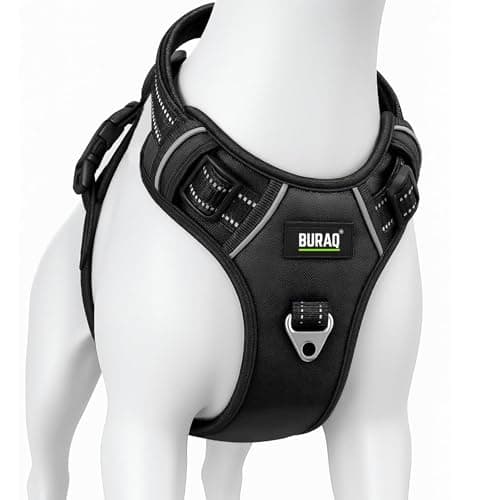 BURAQ No Pull Dog Harness