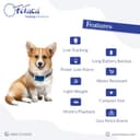 FeTaca GPS Pet Tracker Collar Belt view 2