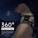 Lyrovo Adjustable No-Pull Harness with Leash Set view 3