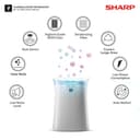 Sharp Air Purifier FP-F40E (Plasmacluster) view 4