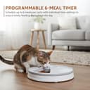 Amazon Basics Rotating Tray Pet Feeder view 10