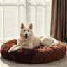 Wow Dog Calming Donut Bed (X-Large)