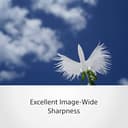 Sony FE 50mm F2.8 Macro (Budget Entry) view 5