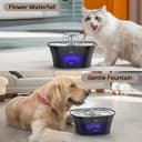 Qpets 2.5L Stainless Steel Fountain view 6