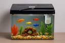 Rizopets Kids Fish Tank Starter Kit 8L view 2
