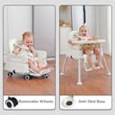 R for Rabbit Truffle view 4