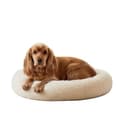 WOW DOG Calming Donut Bed (Medium)