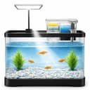 Buraq Curved Polycarbonate Aquarium view 1