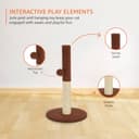 Amazon Basics Cat Scratching Post 50cm view 4