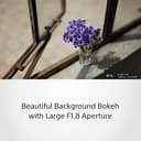 Sony FE 50mm f/1.8 view 5