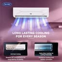 Carrier 1.5 Ton 4 Star ESTER EDGE FXi Inverter Split AC view 2