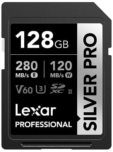Lexar Professional Silver PRO 128GB V60