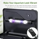 Generic Acrylic Desktop Betta Tank view 4