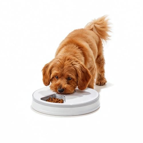 Amazon Basics Rotating Tray Pet Feeder