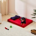 Amazon Basics Orthopedic Bed with Cushion view 5