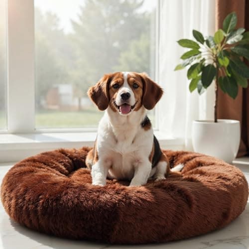 WOW DOG Calming Donut Bed (Medium)
