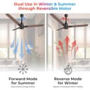 Polycab Wizzy Neo 1200mm BLDC Ceiling Fan view 4