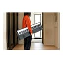 Korg Liano L1-88 Digital Piano (88 Keys, Ultra-Slim) view 5