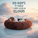 WOW DOG Calming Donut Bed (Medium) view 2