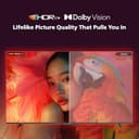 Philips 8100 QLED 43PQT8100/94 view 10