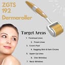 ZGTS 0.75mm Professional Derma Roller view 7