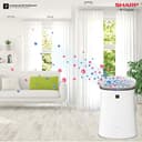 Sharp Air Purifier FP-F40E (Plasmacluster) view 7