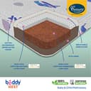 Centuary Beddy Nest (Premium Natural Latex) view 5